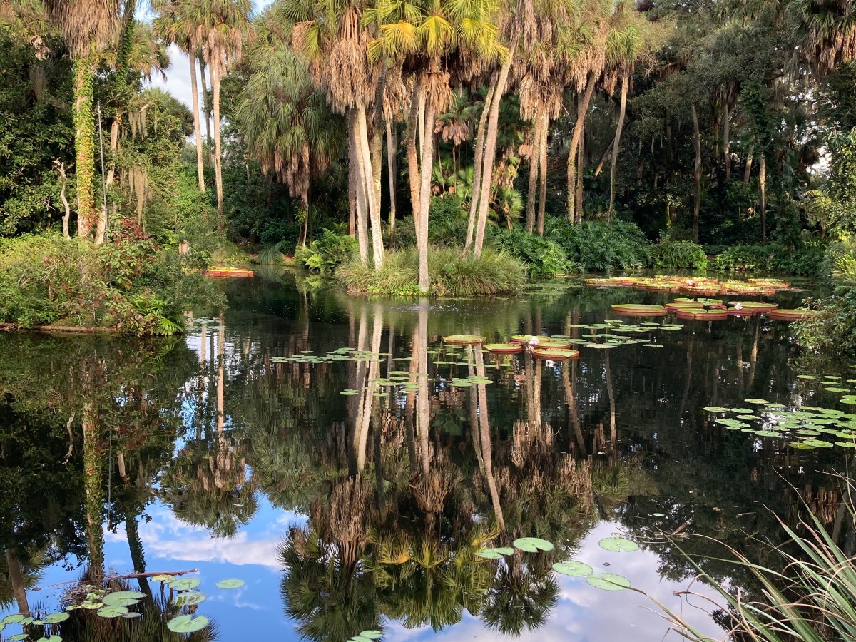 Visiting Bok Towers in Lake Wales,&nbsp;Florida