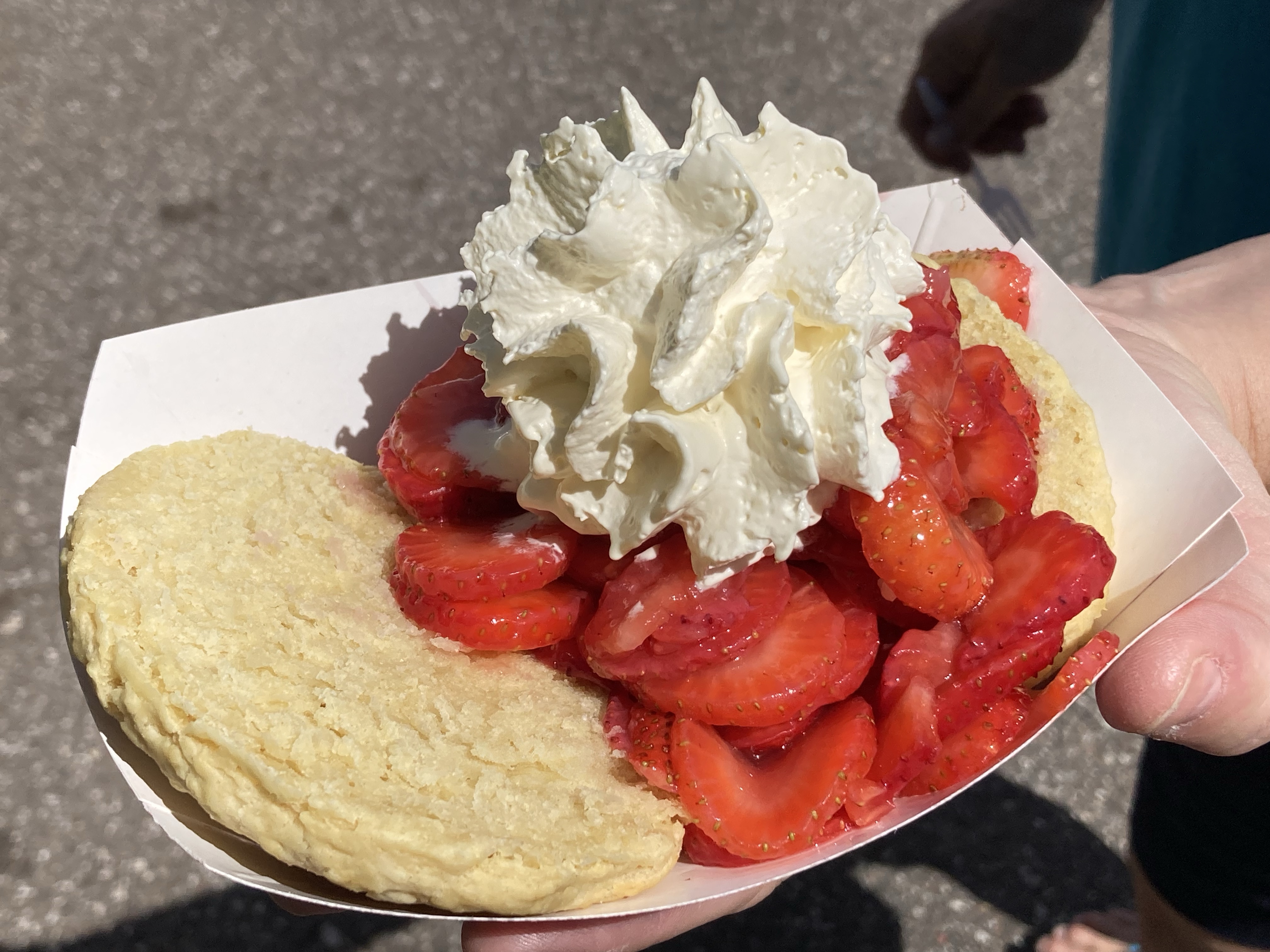 Florida Strawberry Festival – Plus Savory Vegan Strawberry Recipes
