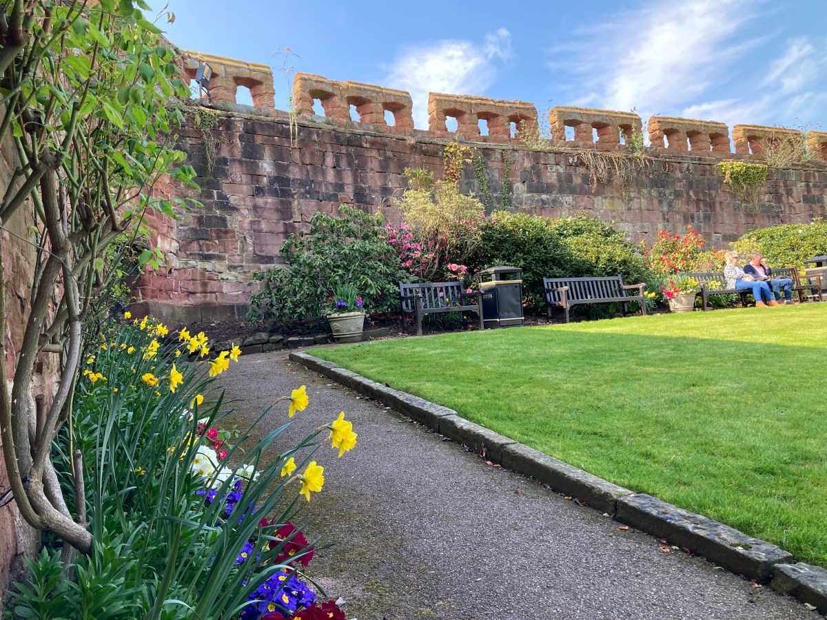 The Surprise English Road&nbsp;Trip