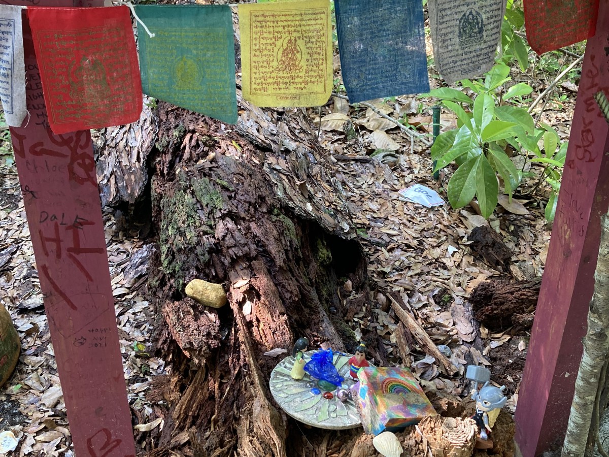 Otherworldly Bachelorette Day Trip to Cassadaga,&nbsp;Florida