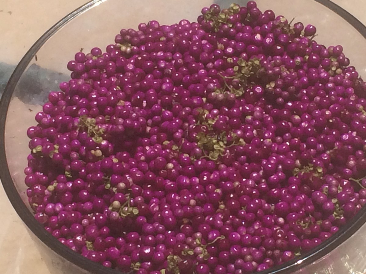 Vegan Beautyberry Recipes